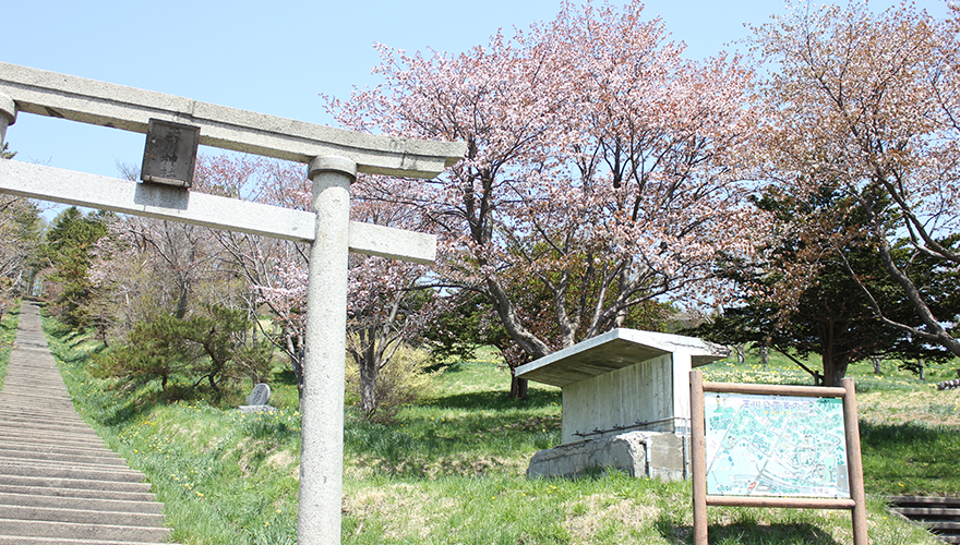 玉川神社に続く階段