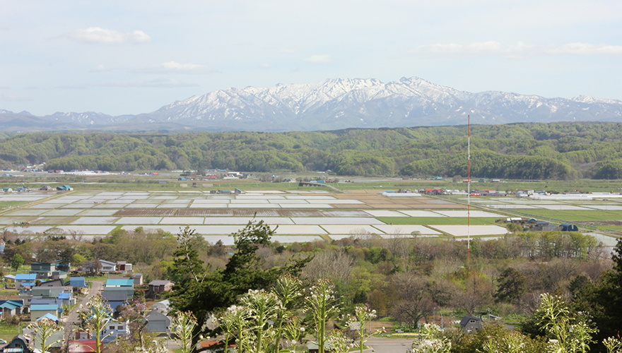 丘上からはせたなを囲む山々と長閑な田園風景が広がっている