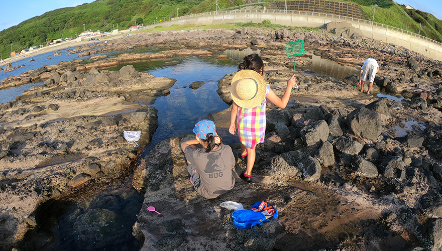 岩礁が連なる太櫓海岸は岩場で磯遊びも楽しめる