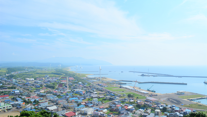 立象山公園から臨海地区の眺め